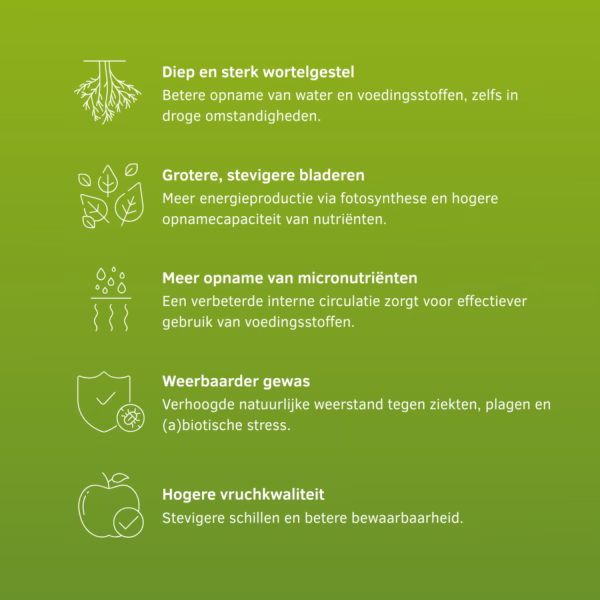 Amstel Agro SF-O | Vloeibare meststof - Afbeelding 2