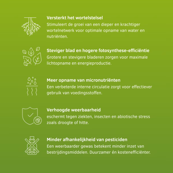 Amstel Agro SF-Y | Vloeibare meststof - Afbeelding 2