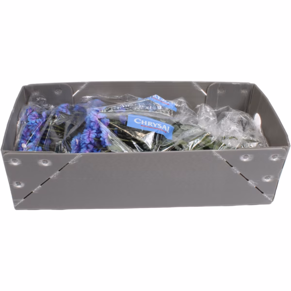 Chrysal FreshLiner | 1000 × 750 × 200 mm (250 stuks) - Afbeelding 2