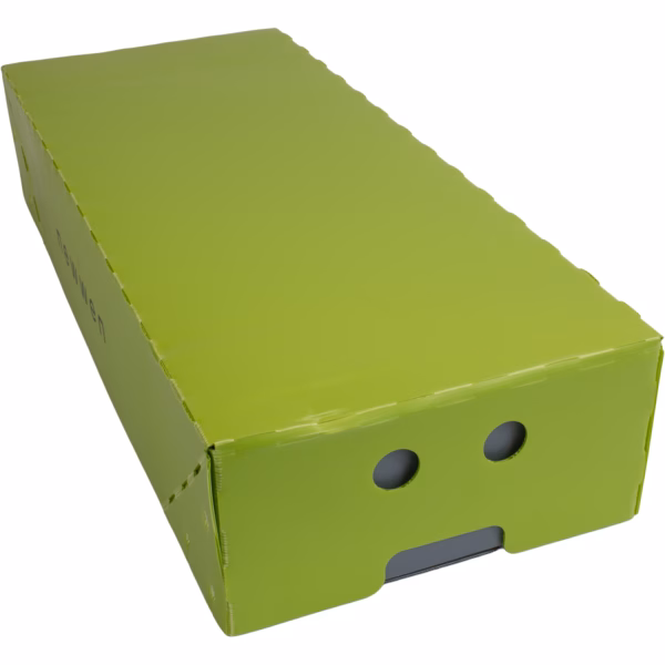 AA Doos (PP) | Deksel 4 mm (lime) - Afbeelding 3