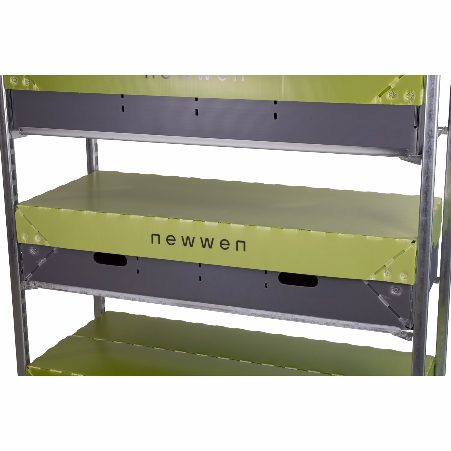 Hele Deense plaat doos (PP) | Deksel (lime) - Afbeelding 4