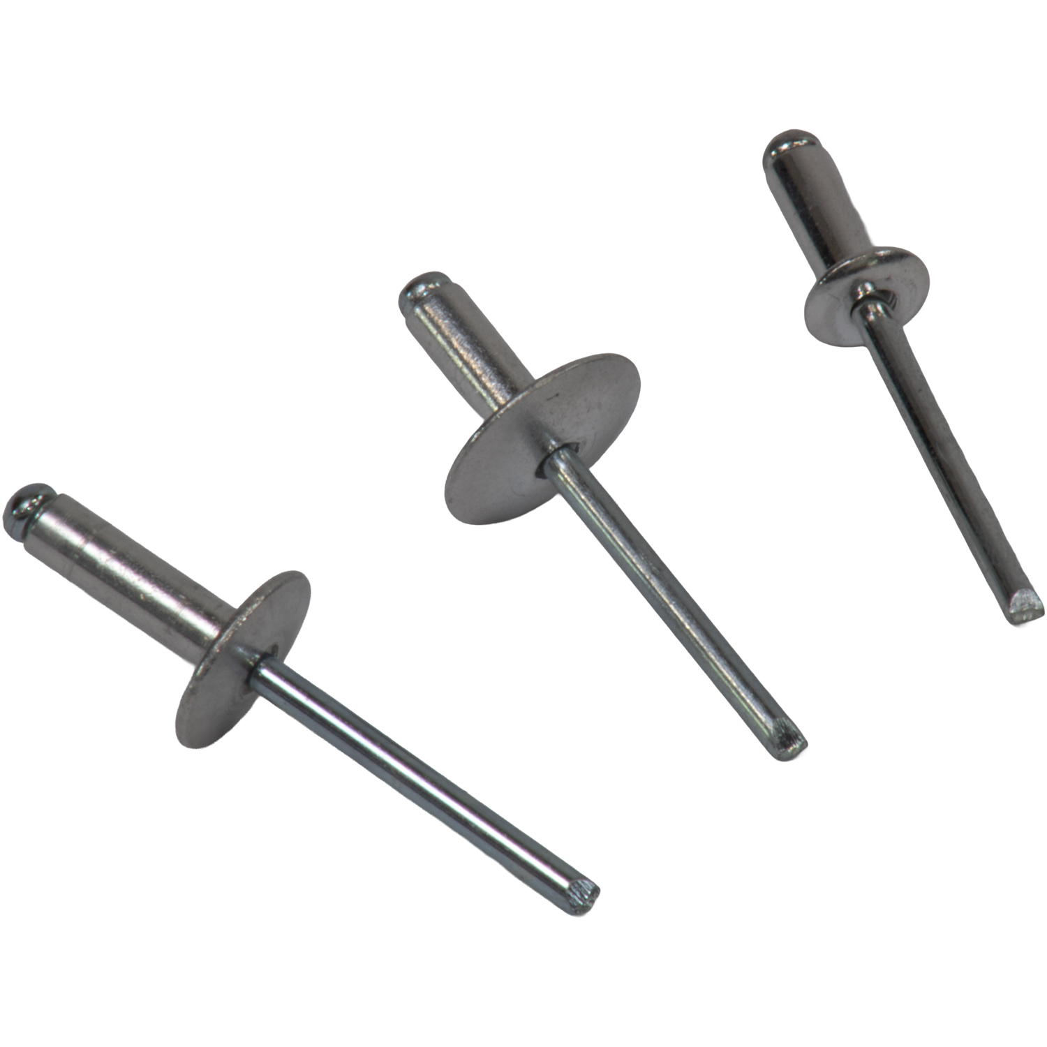 Popnagels Ø 5,5 mm